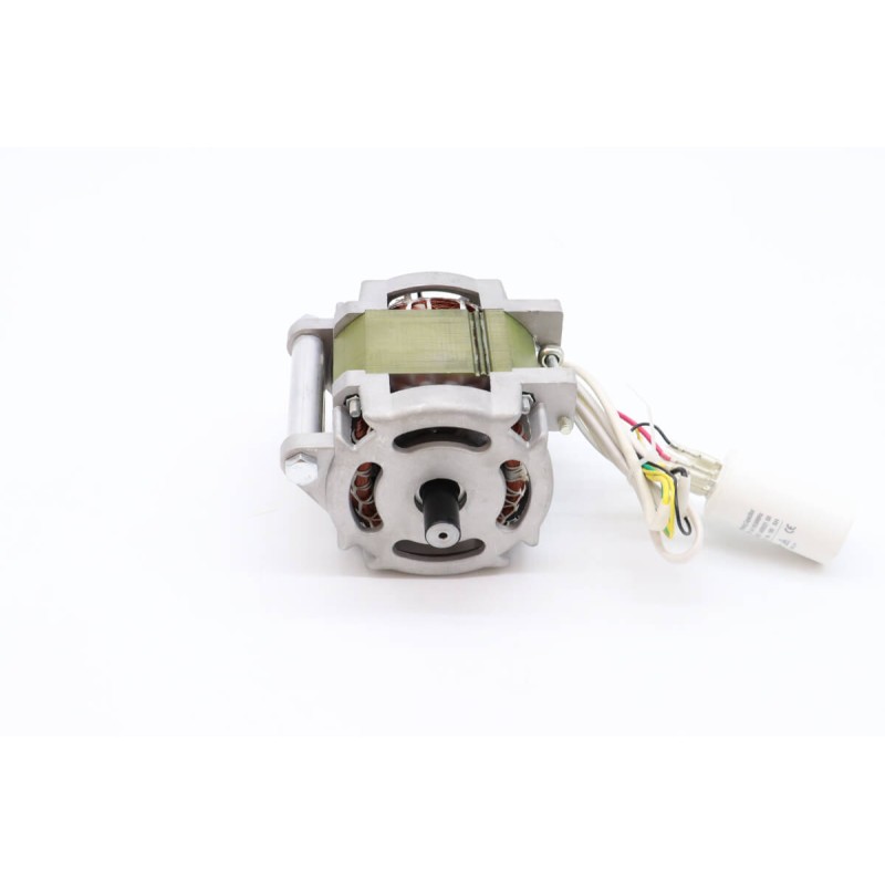 MS250 - Motor #58