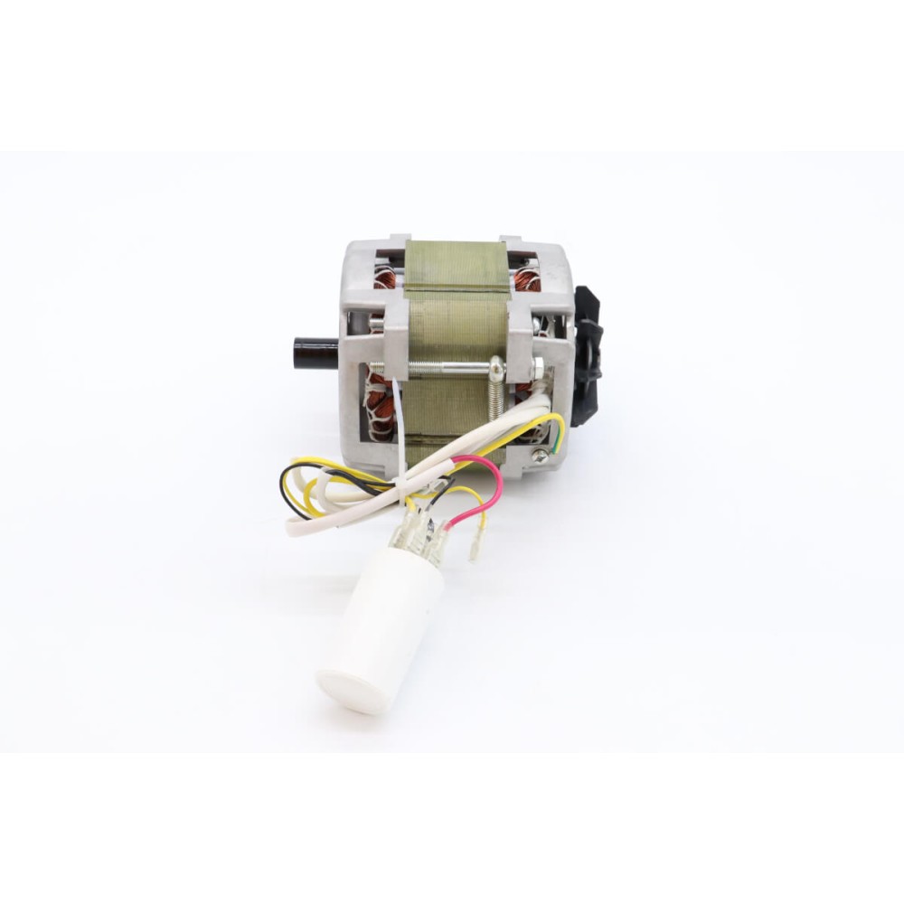MS250 - Motor #58