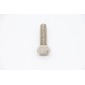 MSM75 - Hexagon Screw (M10x50) #60