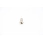 MASF10 - Screw #16