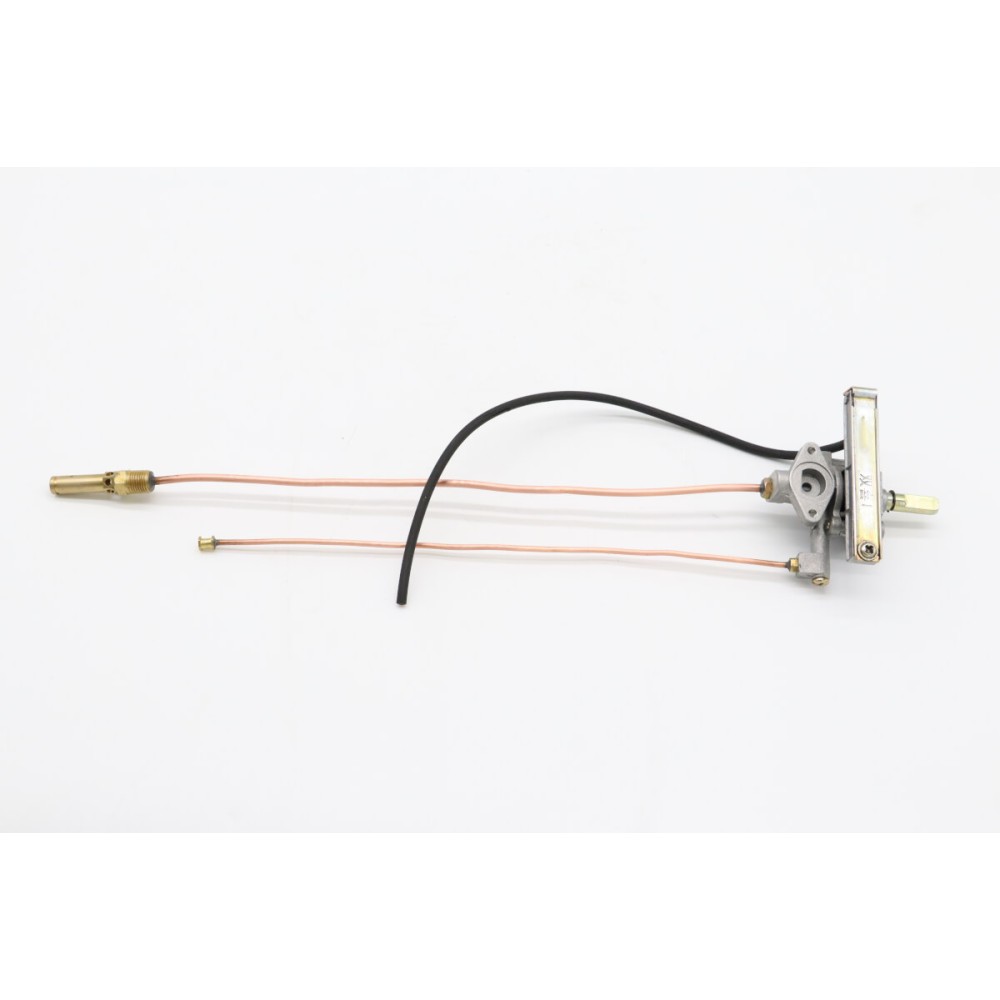 Gas Valve