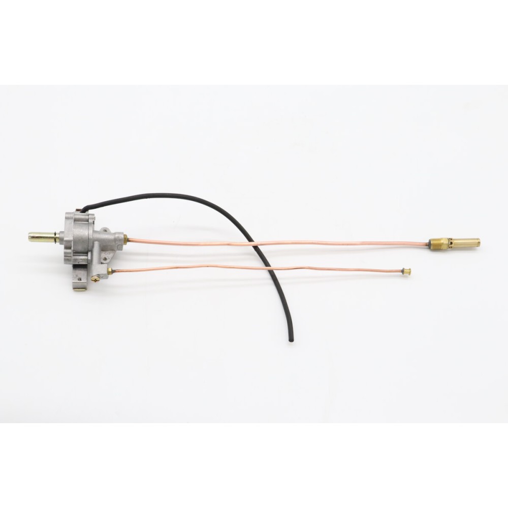 Gas Valve