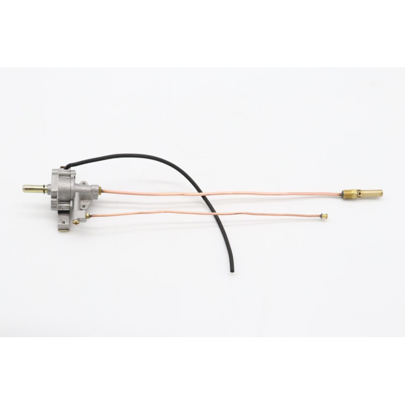 Gas Valve