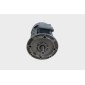 CUTTER 70L - Motor 6,3/7,8 Kw 1500/3000 Rpm 3P/50Hz B5 #20