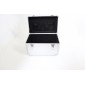 DRY ICE - Suitcase
