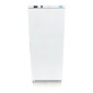 Freezer - 600L - 6 Fixed Shelves - White