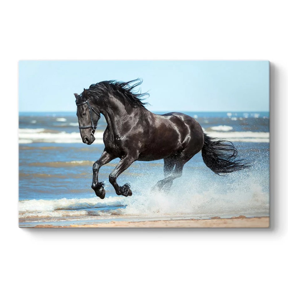 Πίνακας σε καμβά "Black Horse" Megapap ψηφιακής εκτύπωσης 100x70x3εκ.