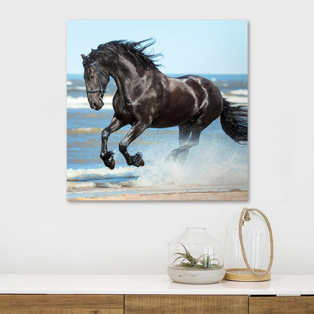 Πίνακας σε καμβά "Black Horse" Megapap ψηφιακής εκτύπωσης 60x60x3εκ.