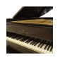 STEINWAY D-274 Πιάνο με Ουρά Μαύρο Γυαλιστερό Μήκους 2.74 m - Premium Used