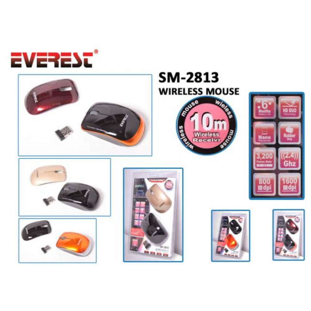 EVEREST SM 2813 WIRELESS MOUSE