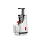 ZILAN ZLN4014 SLOW JUICER