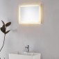 Καθρέφτης επιτοίχιος Nextdeco LED ορθογώνιος 58x43εκ.