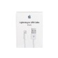 Καλώδιο σύνδεσης Apple για iPhone Lightning MXLY2ZM/A Original 1μ.