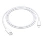 Καλώδιο σύνδεσης Apple για iPhone USB-C σε Lightning 1m MM0A3ZM/A Original