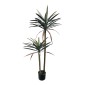 Διακοσμητικό φυτό Dracaena palm σε γλάστρα Inart πράσινο pp Υ125εκ