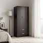 Ντουλάπα δίφυλλη με 2 συρτάρια Alvia pakoworld wenge 80x51.5x180εκ