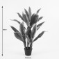 Διακοσμητικό φυτό σε γλάστρα Cycas Inart πράσινο Φ55x80εκ
