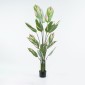 Διακοσμητικό φυτό σε γλάστρα Aglaonema Inart πράσινο Φ80x150εκ