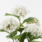 Διακοσμητικό φυτό σε γλάστρα Hydrangea Inart λευκό Φ35x50εκ