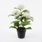 Διακοσμητικό φυτό σε γλάστρα Hydrangea Inart λευκό Φ35x50εκ