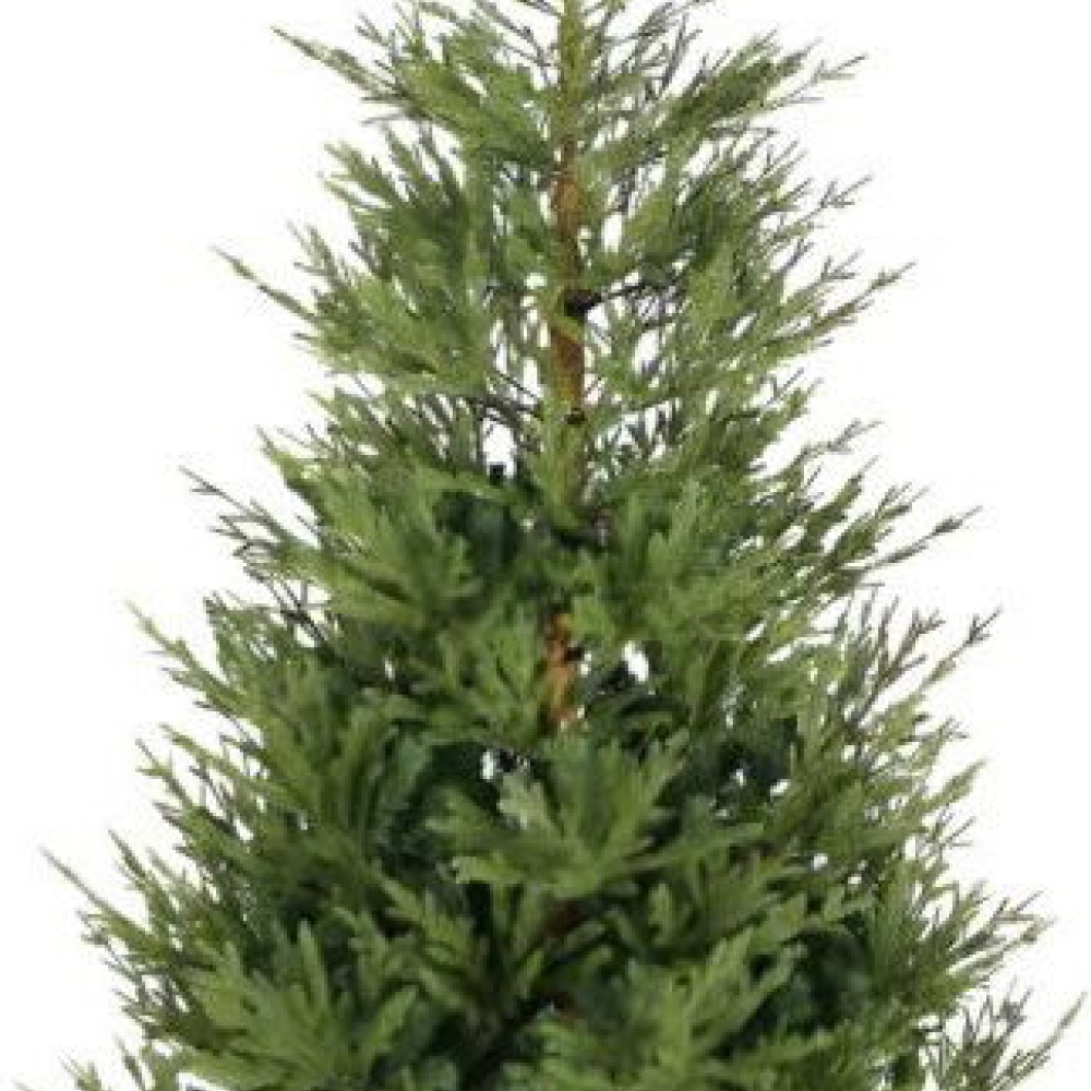 Χριστουγεννιάτικο δέντρο Fir 210cm - 2590 κλαδιά πράσινο