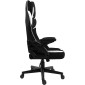 Καρέκλα Gaming Raptor Fury-Leuko