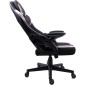 Καρέκλα Gaming Raptor Fury-Leuko