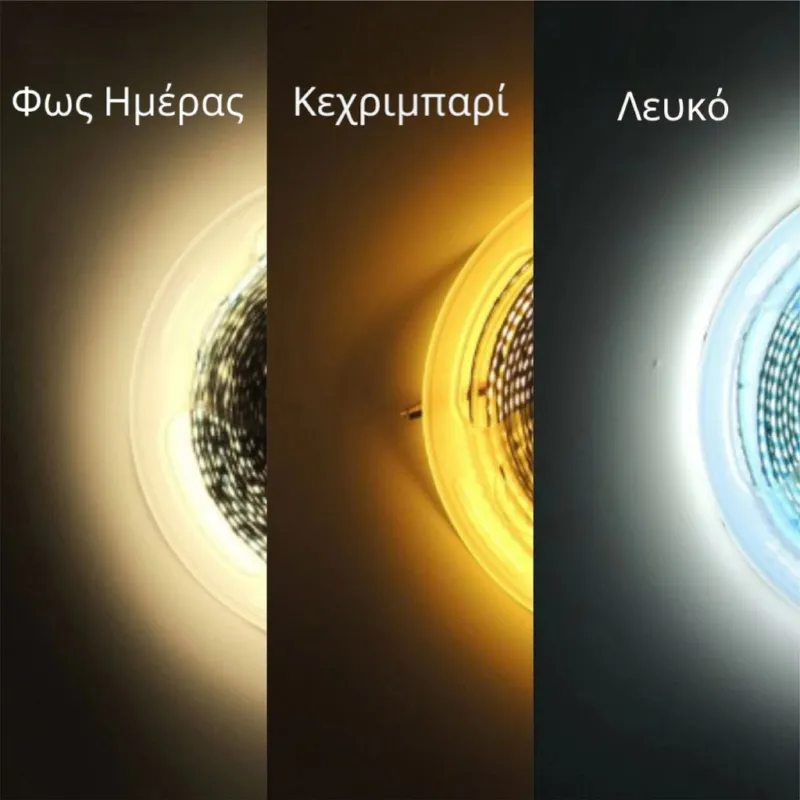 Stewehome LED Φωτισμένο Οβάλ Καθρέφτη Μπάνιου Φως Ημέρας 45x85 cm