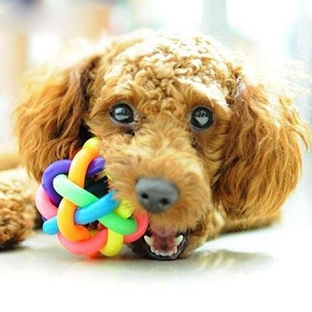 Fun Colorful Weave Style Bell Ball Pet Toy, Size: S (6.5*6.5*6.5cm)