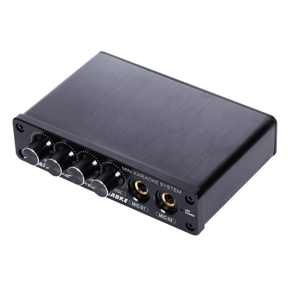 A933 Mini Karaoke Machine System Sound Mixer Amplifier for PC / TV / Mobile Phones, Support RCA in / 2 Channel Mic in(Black)