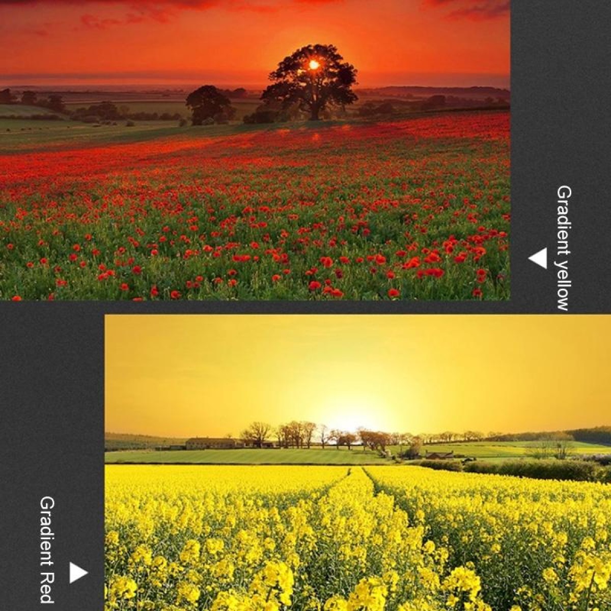 JSR Gradient Colored Lens Filter for Panasonic LUMIX LX10(Gradient Orange)