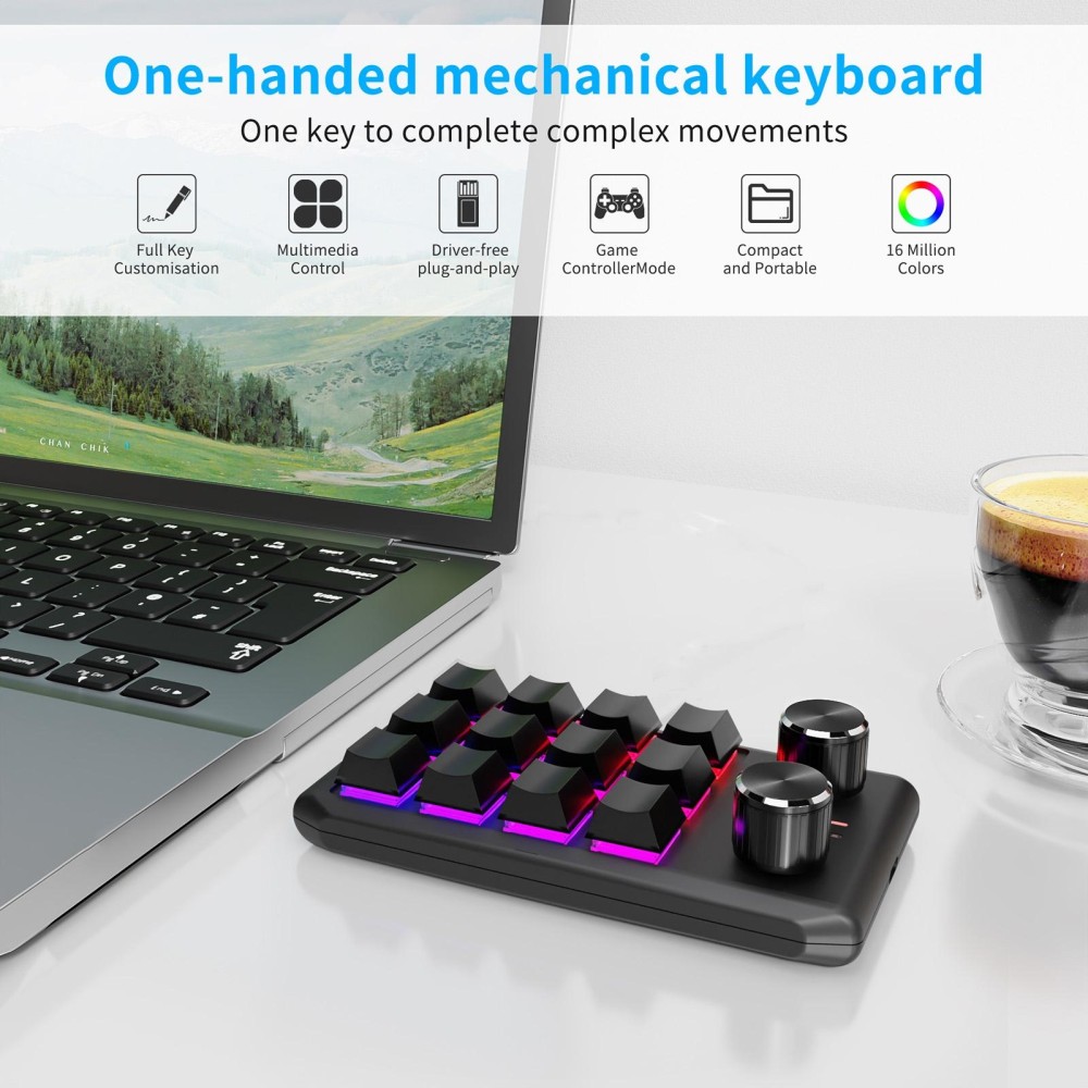 Bluetooth Wireless 12KV2 MOLD Mini Mechanical 12 Keys 2 Knob Custom Programming Keyboard(Black)