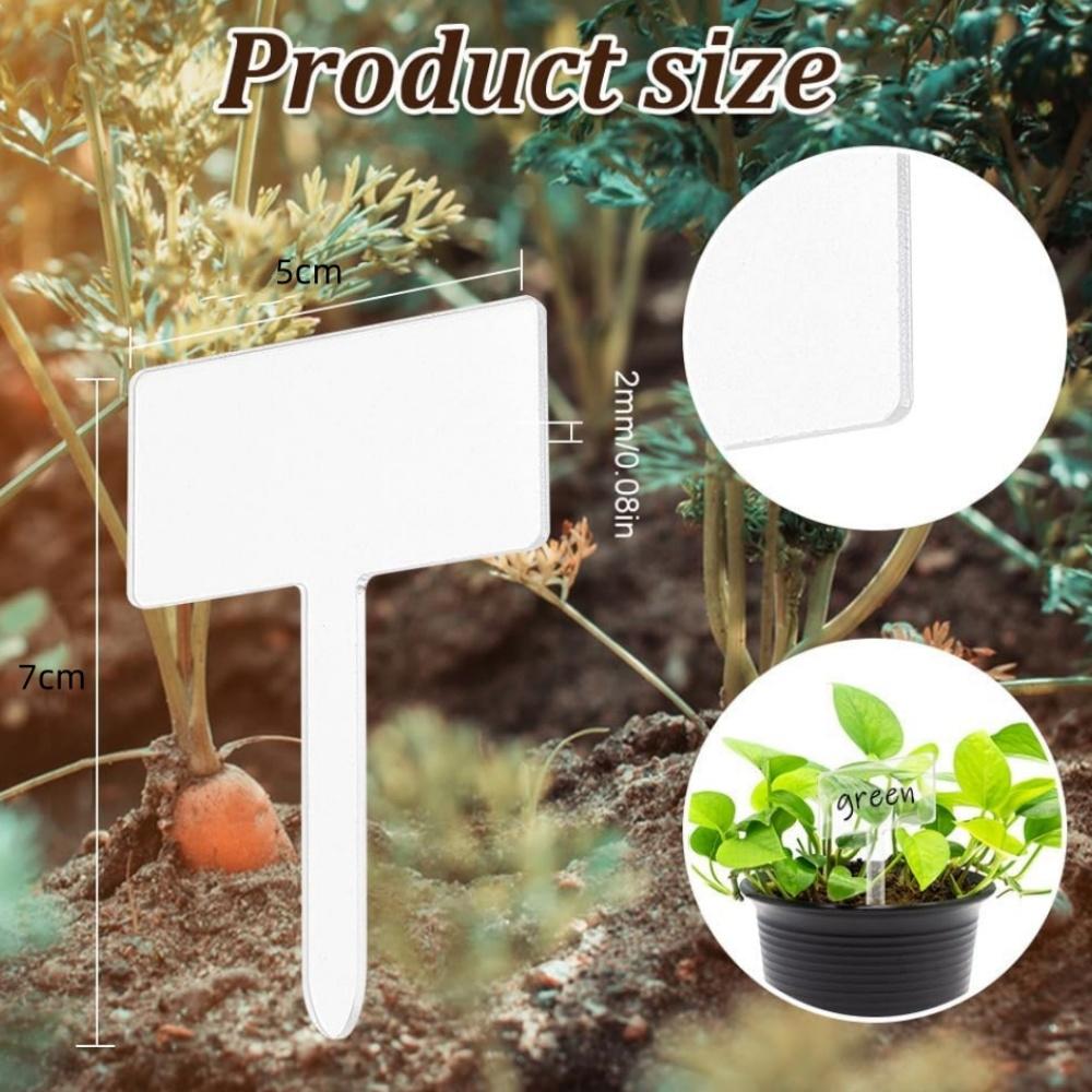 24pcs / Box Acrylic Plant Label Nameplate Potted Plant Sign Holder