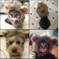 Lion Style Cute Pet Clothes for Regular Size Cats or Small Dogs with About 26cm Head Girth(Black)