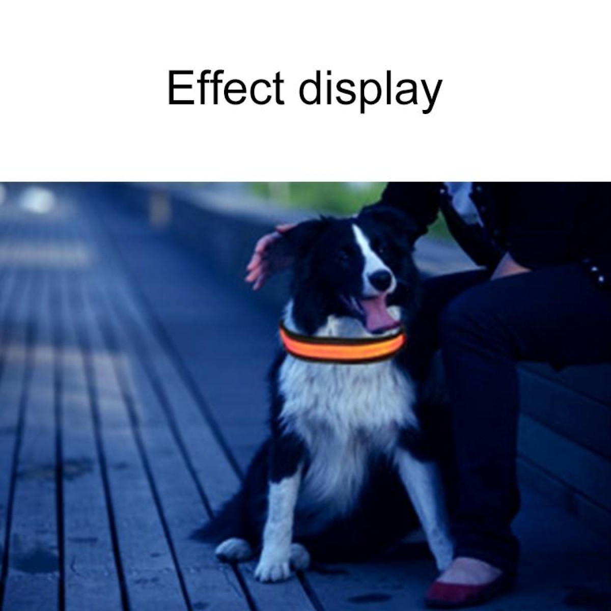 Medium and Large Dog Pet Solar + USB Charging LED Light Collar, Neck Circumference Size: S, 35-40cm(Blue)