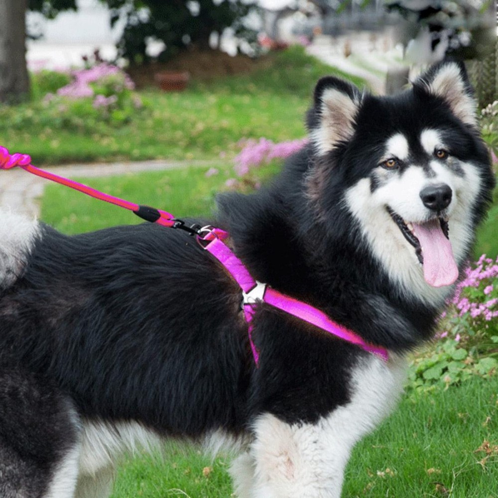 Pet Dog Collar + Harness + Leash Three Sets, L, Harness Chest Size: 57-90cm, Collar Neck Size: 40-64cm, Pet Weight: 35kg Below (Magenta)