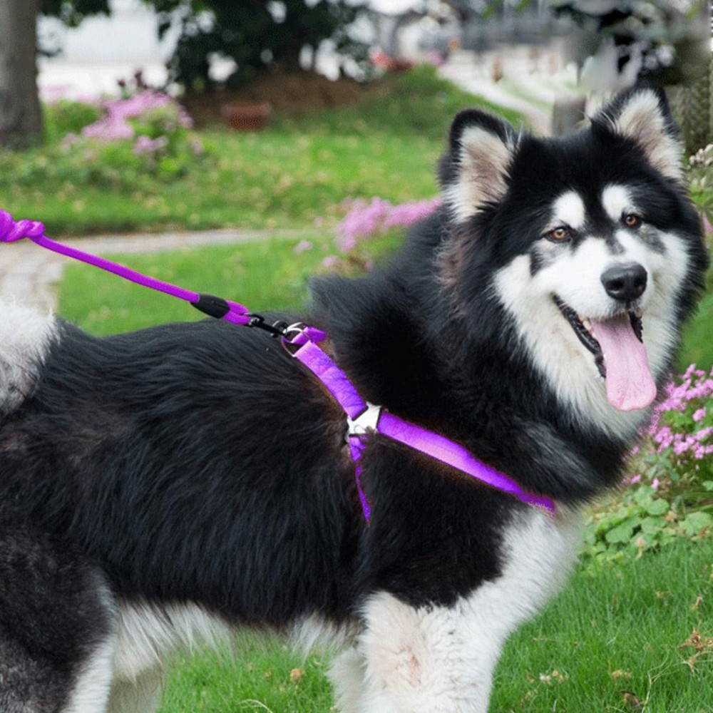 Pet Dog Collar + Harness + Leash Three Sets, L, Harness Chest Size: 57-90cm, Collar Neck Size: 40-64cm, Pet Weight: 35kg Below (Purple)