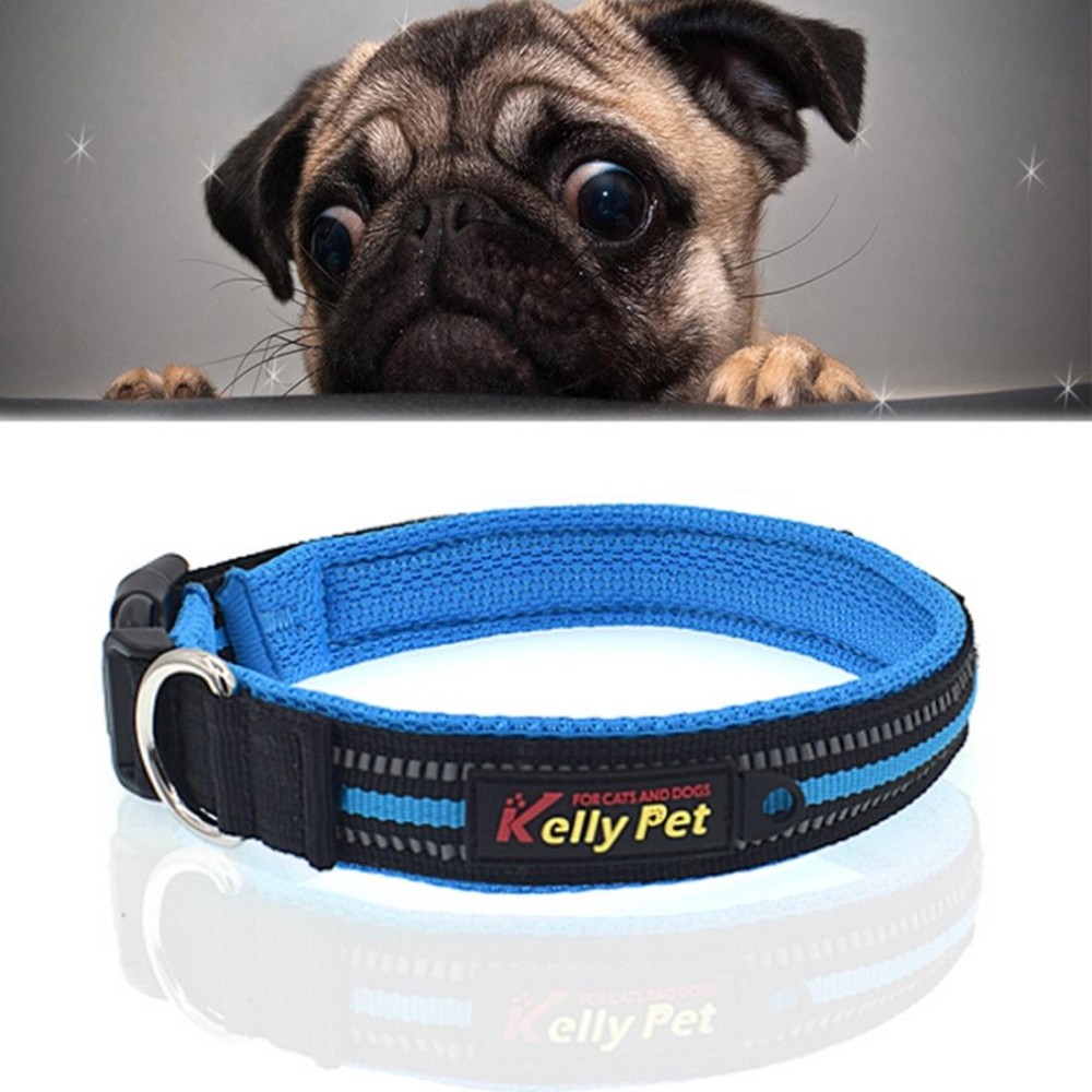 Pet Dogs Polyester Reflective Breathable Pets Collar Traction Lead Leash, Size: M, 2.5*42*47cm (Blue)