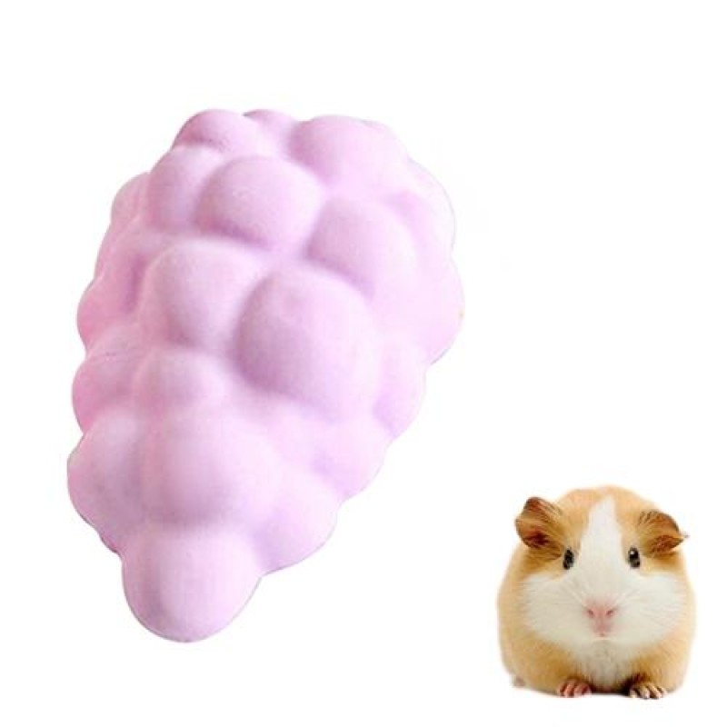 Pet Fruit Type Calcium Stone Hamsters Rabbits Small Pets Teeth Grinding Stones Pets Training Tools(Purple)