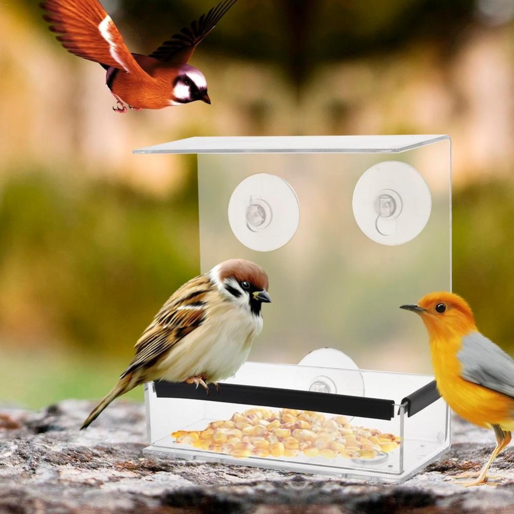 Creative Transparent Plexiglass Square Box Bird Feeder