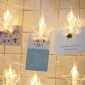 3m Colorful Light Star Shape Photo Clip LED Fairy String Light, 20 LEDs USB Powered Chains Lamp Decorative Light for Home Hanging Pictures, DIY Party, Wedding, Christmas Decoration (Warm White)