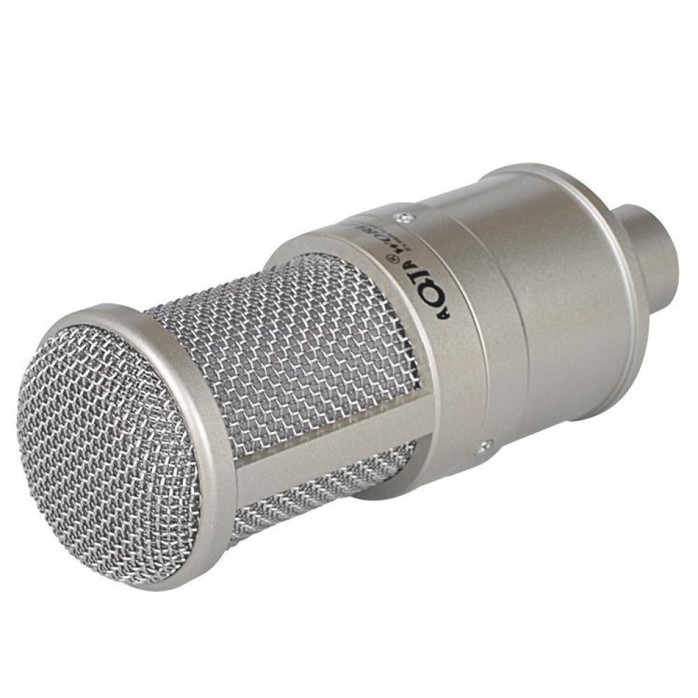 AQ-220 K Song Live Recording Noise Reduction Capacitor Microphone