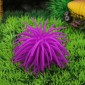 Aquarium Articles Decoration TPR Simulation Sea Urchin Ball Coral, Size: S, Diameter: 7cm(Purple)