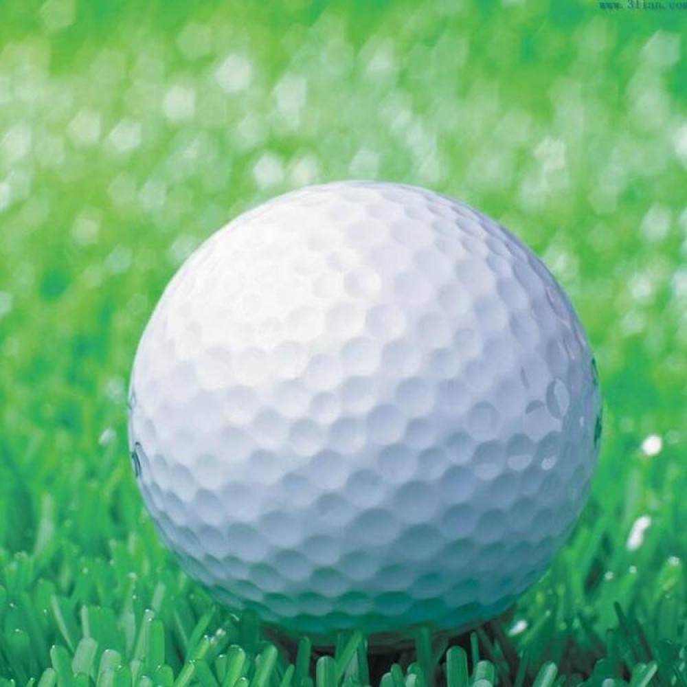 Synthetic Rubber Driving Range Golf Balls, Double Layer Blank Elastic Golf Balls