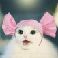 Creative Cat Dog Candy Color Funny Tidy Props Headband Hooded Hat(Pink Dot)