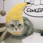 Creative Turned Funny Pet Cat Teddy Festival Funny Banana Headgear