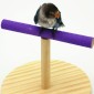 Creative Wooden Parrot Bird Frosted Stand Toy, Size:Small(Frosted)