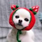 Cute Strawberry Headgear Handmade Knitted Hat Pet Accessories, Size: S
