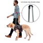 Pet Leg Straps Disabled & Injured Elderly Dog Auxiliary Belt, Size: S, Style:Front Leg(Blue)