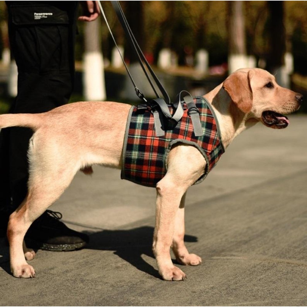 Pet Leg Straps Disabled & Injured Elderly Dog Auxiliary Belt, Size: S, Style:Front Leg(Orange)